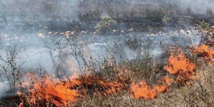 Πυρκαγιά μετά από άσκηση της ΕΦ - Κάηκαν πενήντα εκτάρια γης στο Καλό Χωριό