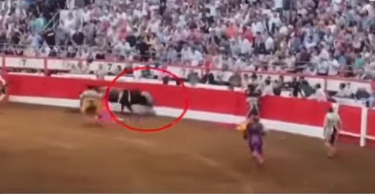 Ισπανία: Τραυματίστηκε σοβαρά ο «Μέσι» των ταυρομάχων - Ταύρος τον κάρφωσε με τα κέρατά του - Δείτε βίντεο