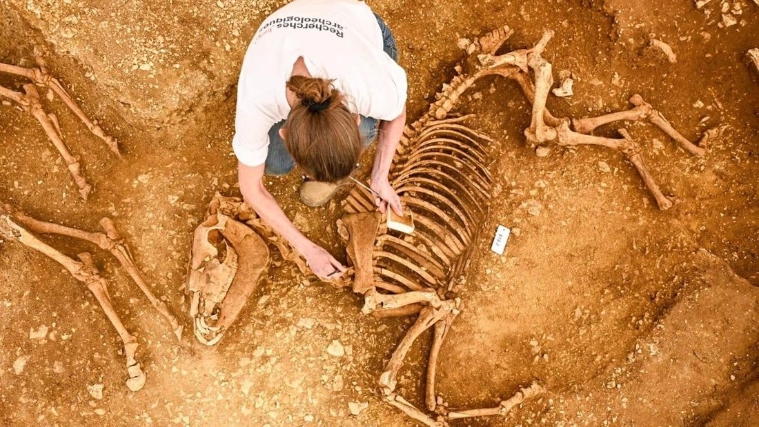 Μυστήριο με τάφους αλόγων που χρονολογούνται πριν 2.000 χρόνια στη Γαλλία - Γιατί κοιταζουν δυτικά