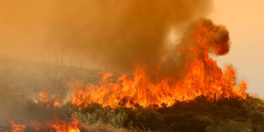 ΛΕΥΚΩΣΙΑ: Πυρκαγιά στην Κορωνιά