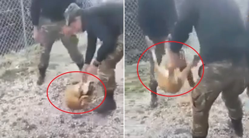 Συγκλονίζει το βίντεο που δείχνει φαντάρους να κακοποιούν σκυλάκι