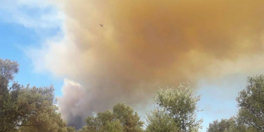 ΕΥΒΟΙΑ: Ανεξέλεγκτη η πυρκαγιά - Ενισχύθηκαν οι δυνάμεις πυρόσβεσης - ΦΩΤΟΓΡΑΦΙΕΣ