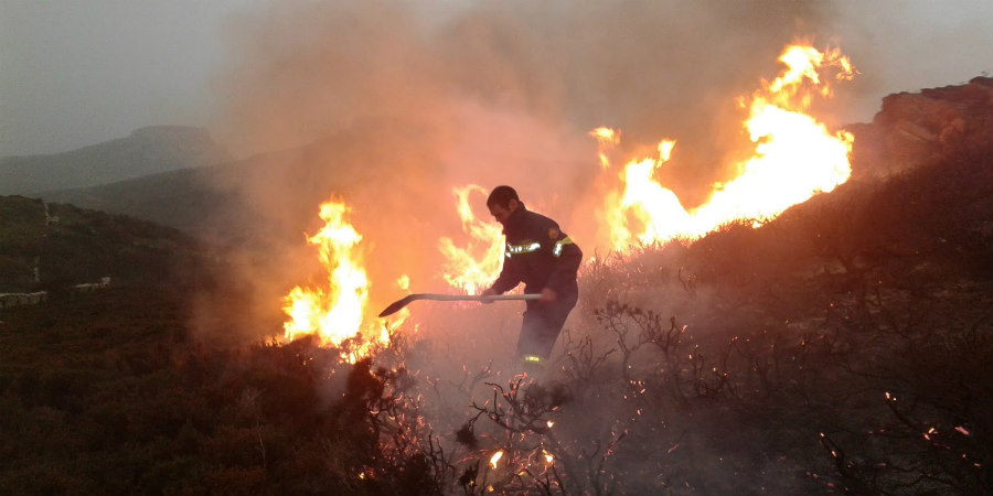 Στο κόκκινο ο συναγερμός: Έκκληση του Τμήματος Δασών - Τεράστιος ο κίνδυνος για δασικές πυρκαγιές 