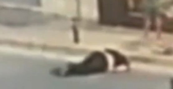 Video: Για... τρία ευρώ έσπασαν στο ξύλο γνωστό κοσμηματοπώλη - Σκληρές εικόνες 