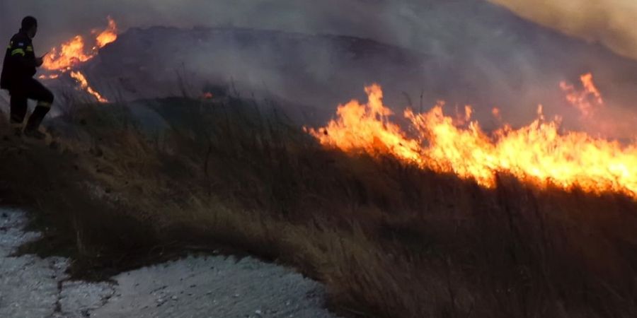 ΛΕΥΚΩΣΙΑ: Μεγάλης έκταση φωτιά στην επαρχία – Πυροσβεστικά στο σημείο