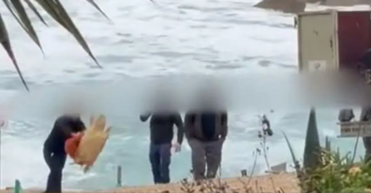 Το βίντεο της οργής: Η στιγμή που υπάλληλοι κακοποιούν θαλάσσια χελώνα στη Χλώρακα