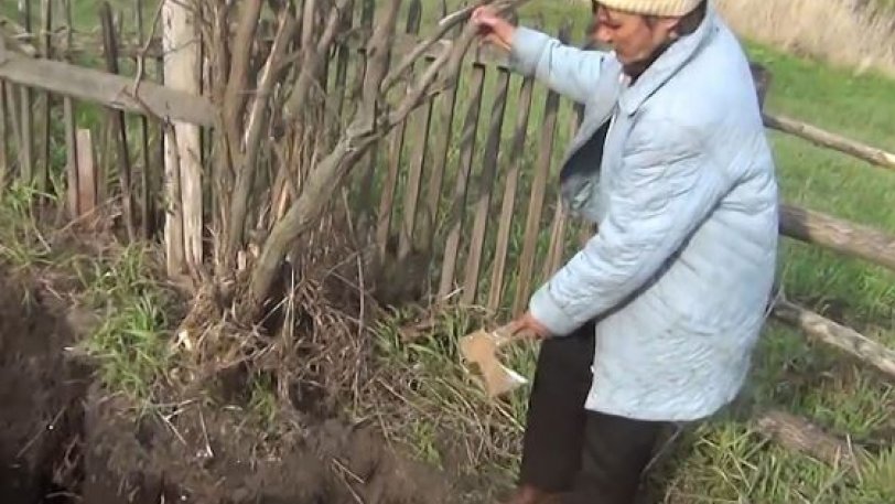 Βρήκε έναν σκελετό στον κήπο και η γυναίκα του ομολόγησε πως ήταν ο πρώην άντρας της