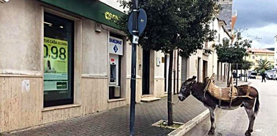 «Ο γάρος της ημέρας»: Τους «έκλεισε» στην παραλία και έφυγε «κύριος» - Δείτε φωτογραφία