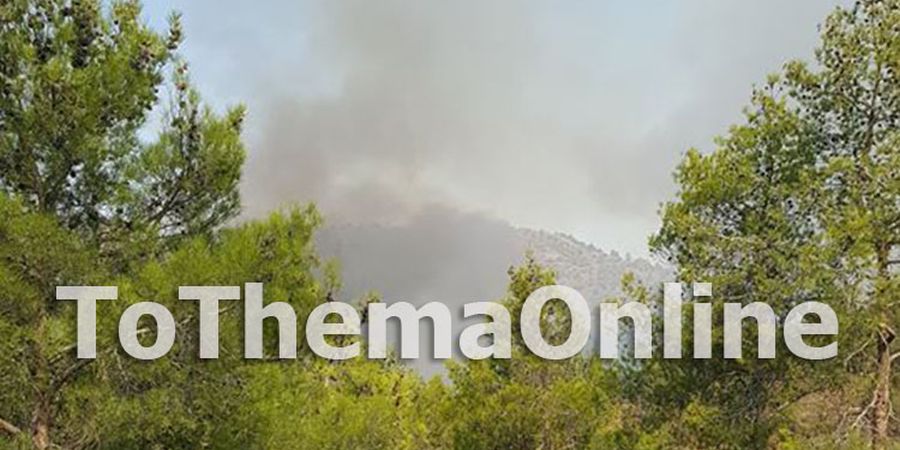 ΚΑΠΕΔΕΣ: Πάνω από 200 άτομα στη μάχη με τις φλόγες