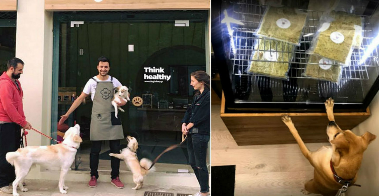Στην Ελλάδα ο πρώτος φούρνος μόνο για σκύλους - Δείτε φωτογραφίες 
