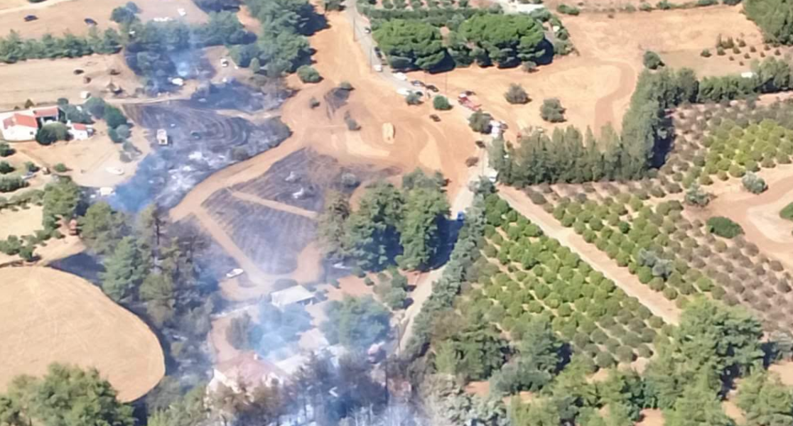 Πυρκαγιά στα Πυργά: Κάηκαν πεύκα και αιωνόβιες ελιές - «Προστατεύτηκαν ανθρώπινες ζωές και περιουσίες» - Σε επιφυλακή για αναζωπυρώσεις