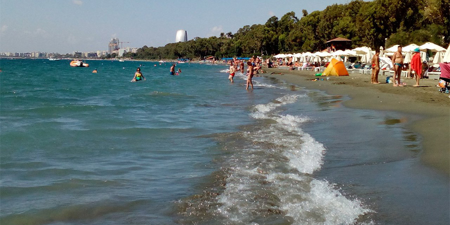 ΛΕΜΕΣΟΣ: Απαγορεύεται το κολύμπι σε παραλία λόγω μεδουσών - ΦΩΤΟΓΡΑΦΙΑ