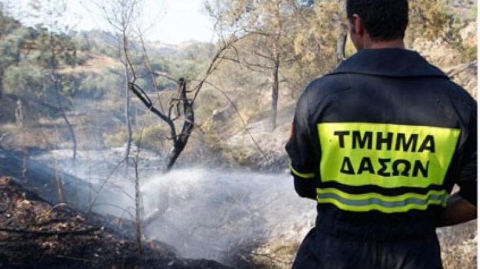 Μπαράζ πυρκαγιών: Ξέσπασαν πέντε εστίες σε απόσταση ενός χιλιομέτρου στην Επ. Λευκωσίας
