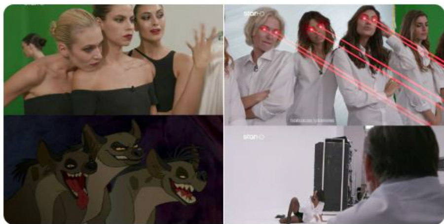 Όταν οι διάσημες τρολάρουν το GNTM - «Γατάκια» - ΦΩΤΟΓΡΑΦΙΕΣ & VIDEO  