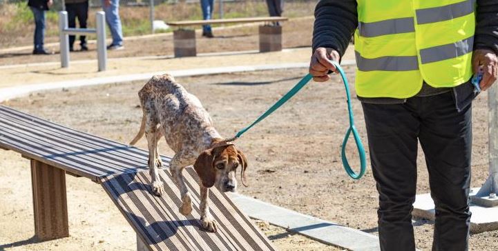 Σε λειτουργία από το ερχόμενο Σάββατο το πρώτο πάρκο σκύλων στο Δήμο Λεμεσού