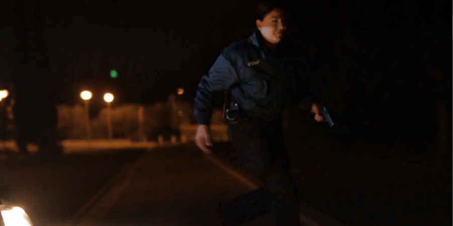 ΚΥΠΡΟΣ: Οι γυναίκες αστυνομικοί σε δράση – Το VIDEO-τιμή κάθε ένστολης