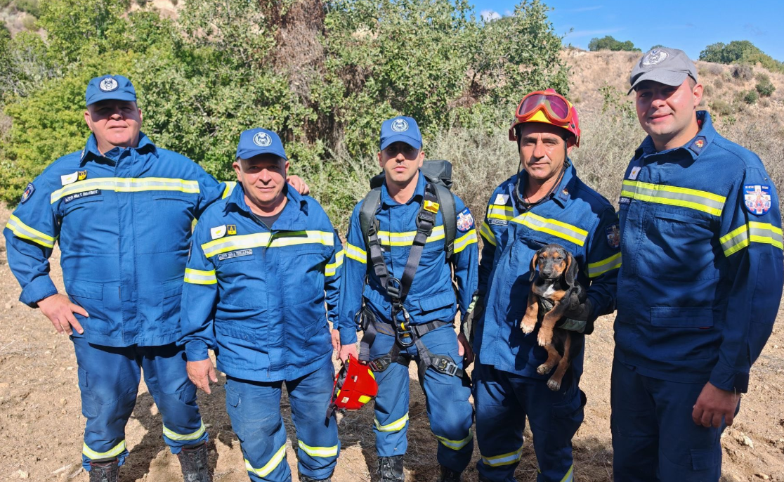 Δύο σκυλάκια εγκλωβίστηκαν σε φαράγγι και λάκκο - Επιχείρησε η Πυροσβεστική - Δείτε φωτογραφίες