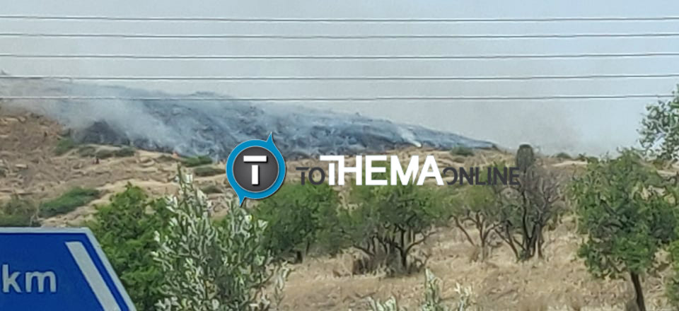 ΕΠ. ΛΕΥΚΩΣΙΑΣ:  Έστία πυρκαγιάς σε βουνοπλαγιά κινητοποίησε την Πυροσβεστική