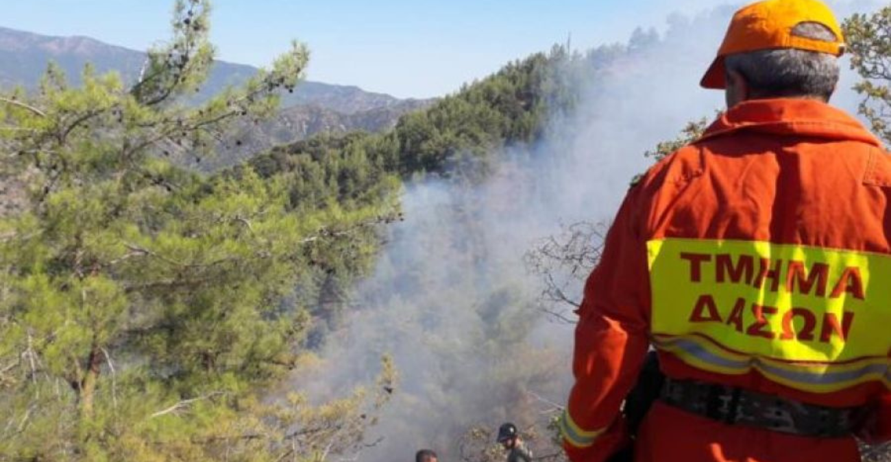 Χωρίς δασοπυροσβέστες το Τμήμα Δασών - Αβέβαιο αν στελεχωθεί όπως πέρσι - Οσα αποκαλύπτουν οι συντεχνίες