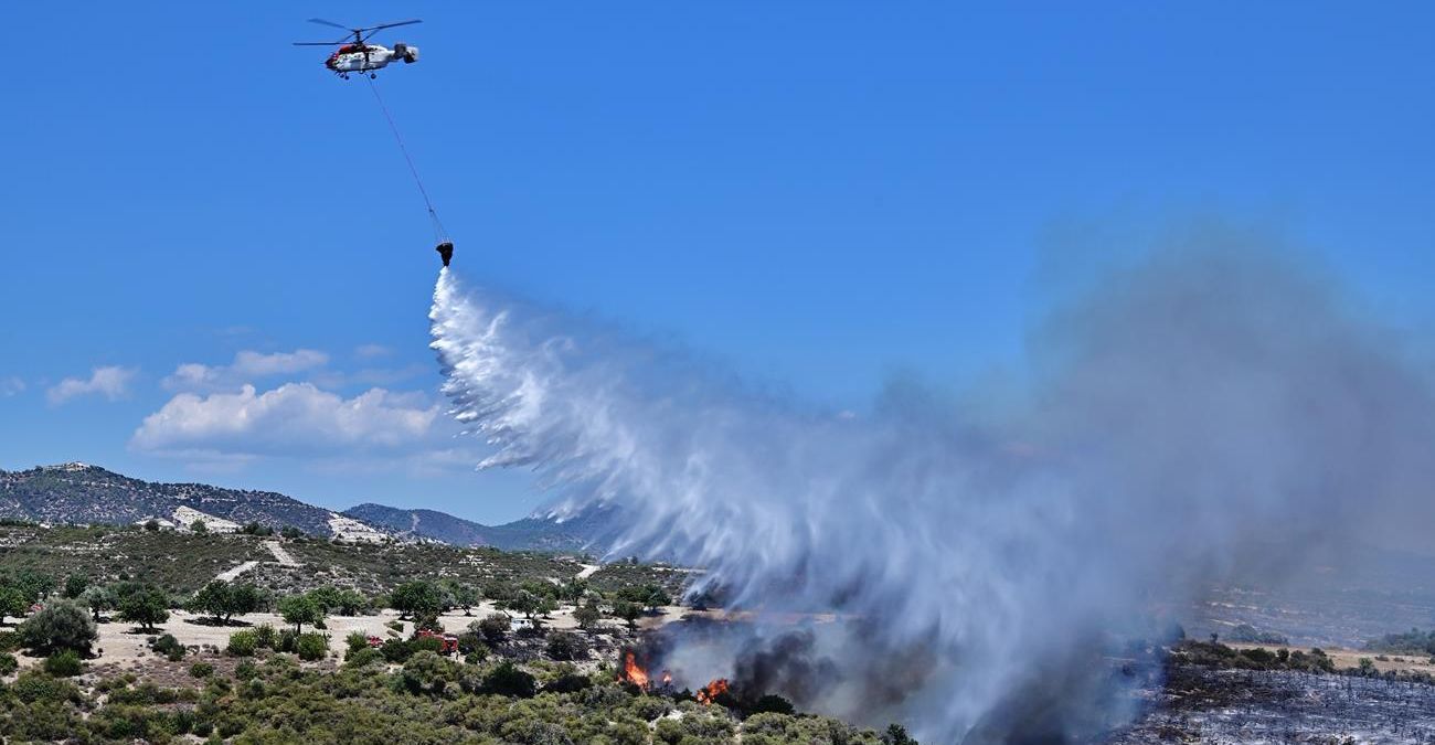 Πυρκαγιά στην Τσάδα: Εκκενώθηκαν προληπτικά 10 οικίες – Στο ΚΣΕΔ οι υπουργοί Άμυνας, Γεωργίας και Μεταφορών – 9 πτητικά μέσα στη μάχη - Βίντεο