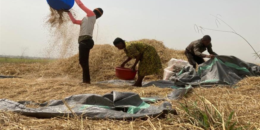 Αγωνία για την επισιτιστική κρίση - Οι Ρώσοι καίνε χωράφια με σιτηρά στην Ουκρανία