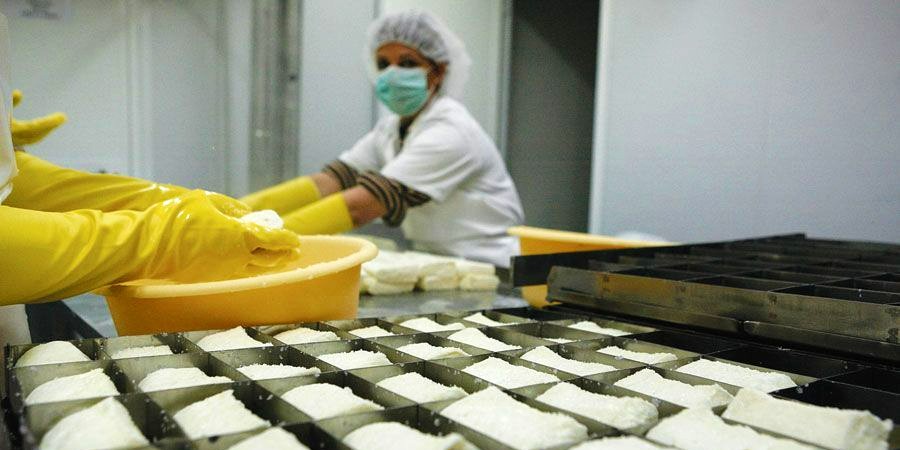 Ελληνική εταιρεία επεκτείνεται στην Κύπρο - Επενδυτικό πλάνο εκατομμυρίων ευρώ για παραγωγή χαλλουμιού