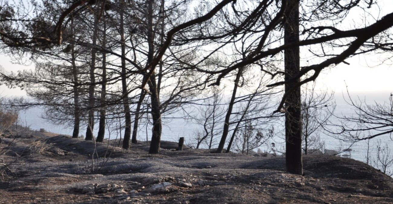 Υπό έλεγχο η πυρκαγιά στη Χίο - Έκαψε 600 στρέμματα δασικής έκτασης - Δείτε βίντεο