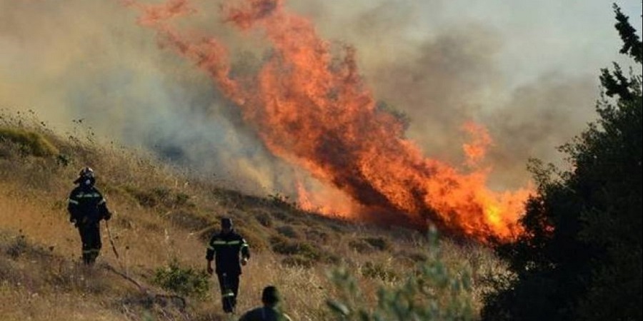 Υπό πλήρη έλεγχο δασική πυρκαγιά στην κοινότητα Δρυνιάς - Κατέκαψε έκταση 25 δεκαρίων