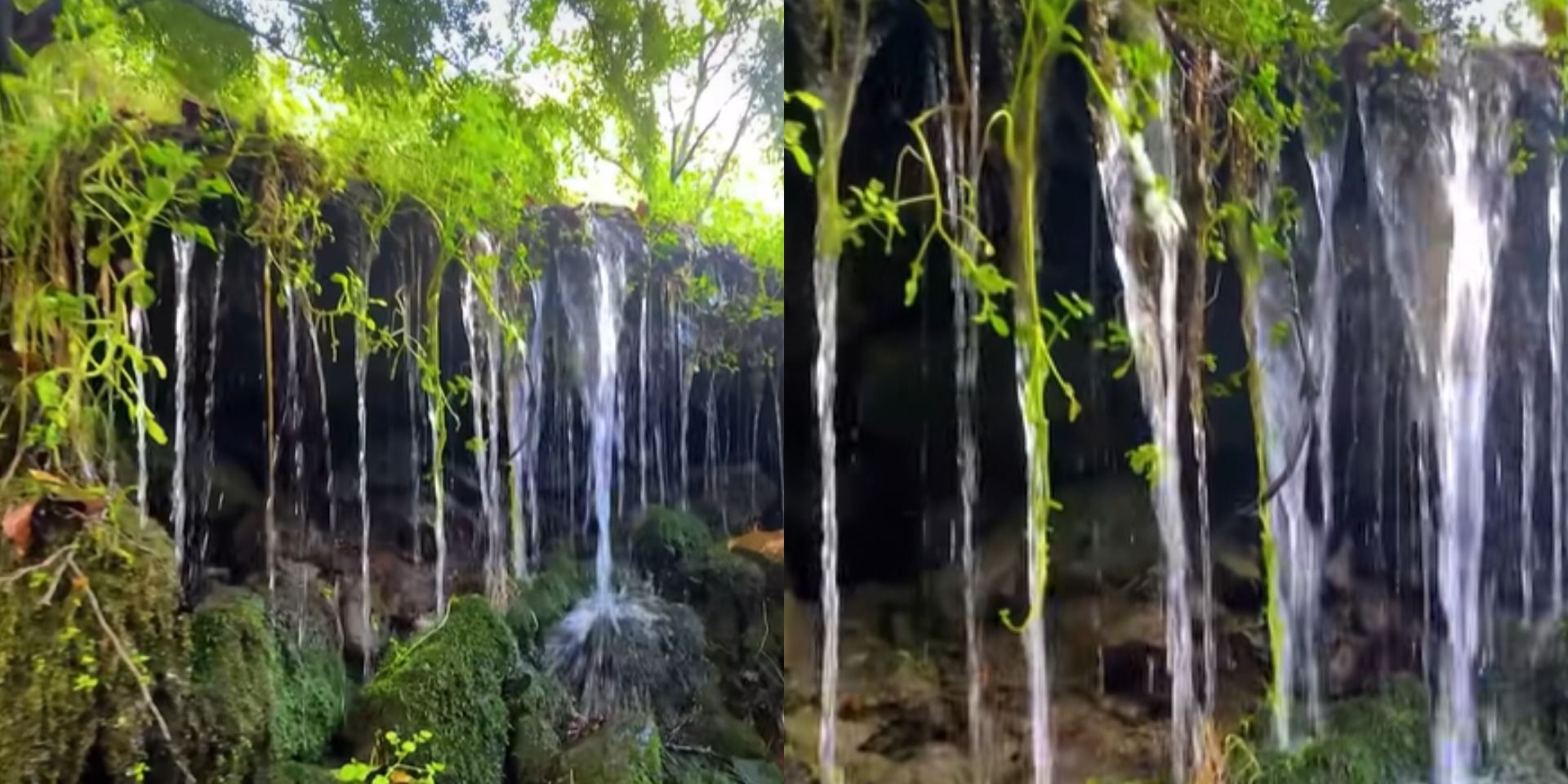 Εντυπωσιακό video: Αυτός είναι «ο μικρός Αμαζόνιος της Κύπρου» - Στιγμιότυπα που μαγεύουν