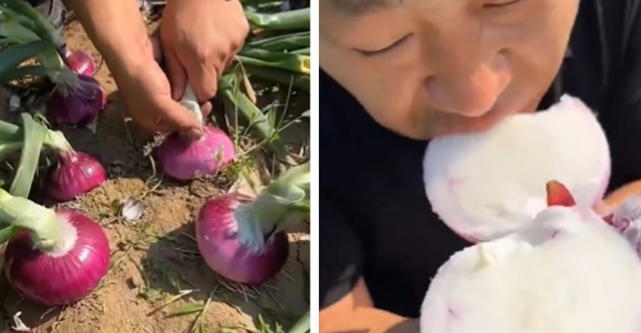 Ο άνθρωπος που τρώει κρεμμύδια κατευθείαν από το έδαφος - Βίντεο