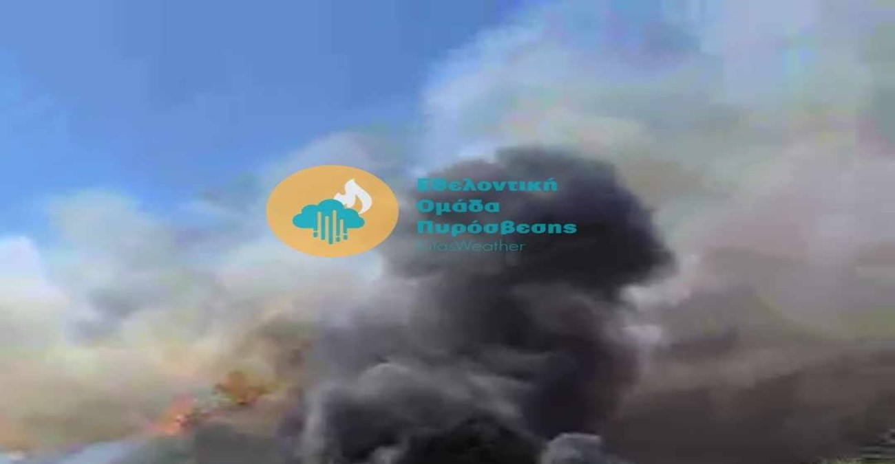 Πυρκαγιά στη Λεμεσό - Σε εφαρμογή το «Ίκαρος ΙΙ» - Δείτε βίντεο