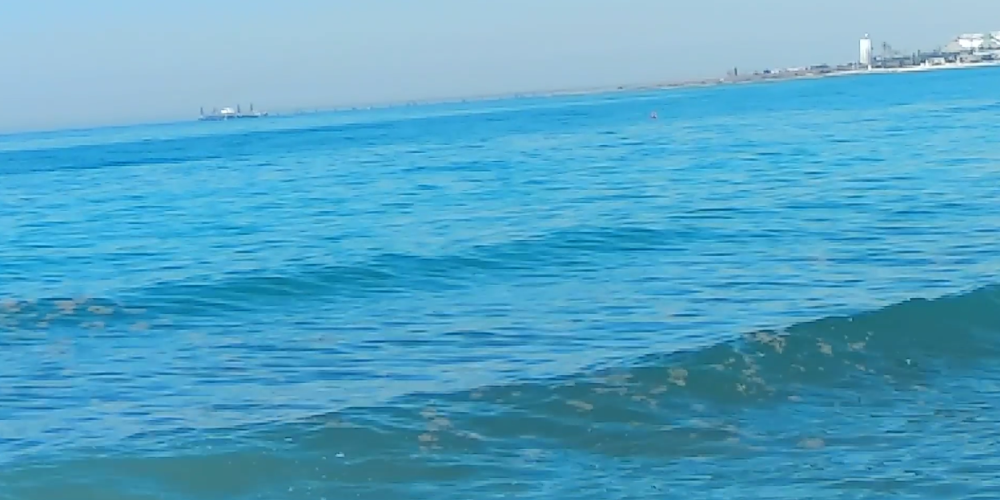 Περιττώματα επιπλέουν σε παραλία της Κύπρου – VIDEO