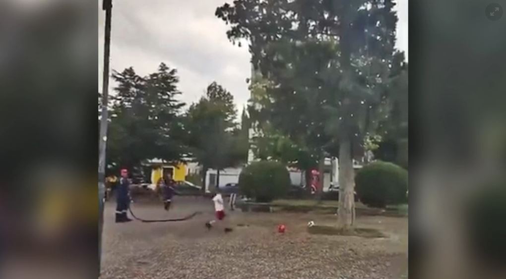 Λάρισα: Κάλεσαν την πυροσβεστική για να κατεβάσει… μπάλα από δέντρο - Δείτε βίντεο