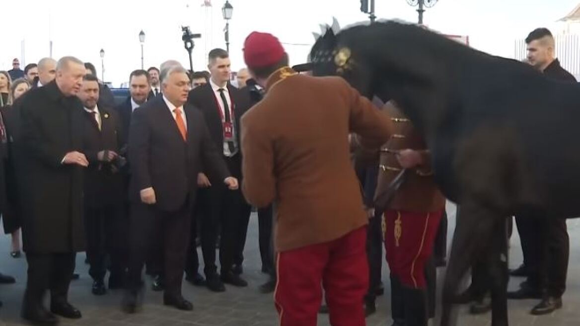 Η ανταλλαγή δώρων Ερντογάν - Όρμπαν: Του χάρισε ένα ηλεκτρικό όχημα και εκείνος ένα άλογο!