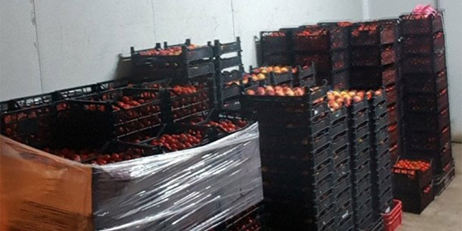 ΛΕΥΚΩΣΙΑ: Κατάσχεση δύο τόνων και 300 κιλών φρούτων που πωλούσε χονδρική αγορά - Τι διερευνάται