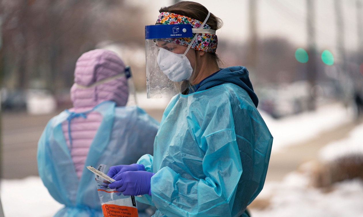 Συναγερμός για νέο κορωνοϊό νυχτερίδων – Ο CcCoV-KY43 μπορεί να μολύνει ανθρώπινα κύτταρα