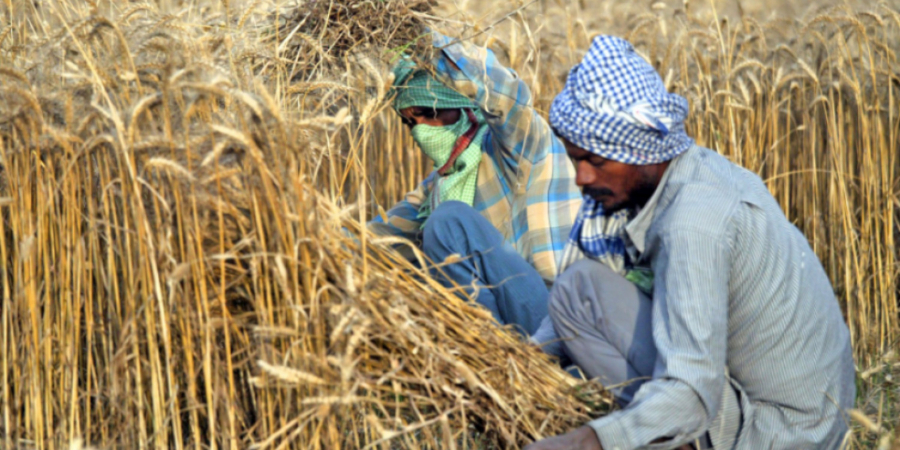Τις εξαγωγές σιταριού θα επιτρέψει η Ινδία