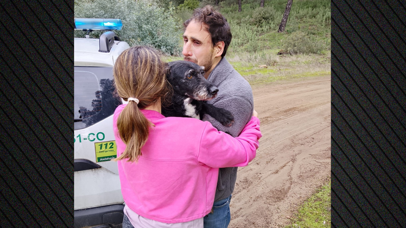 Σκύλος που αγνοείτο μετά τη σιδηροδρομική τραγωδία στην Ισπανία διασώθηκε έπειτα από τέσσερις ημέρες