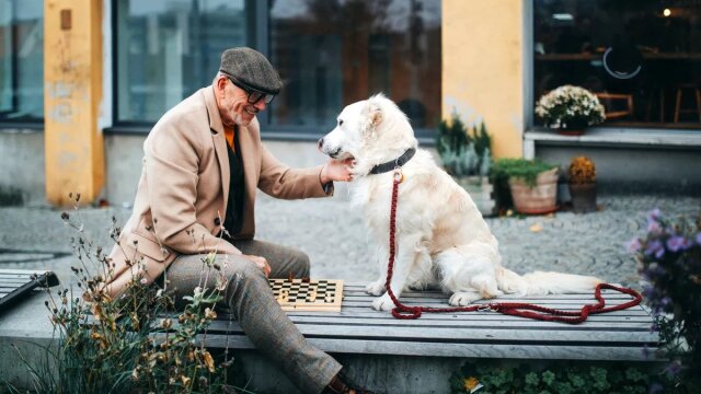 Μακροζωία: Ο γηραιότερος σκύλος του κόσμου δείχνει πώς θα τα καταφέρουμε