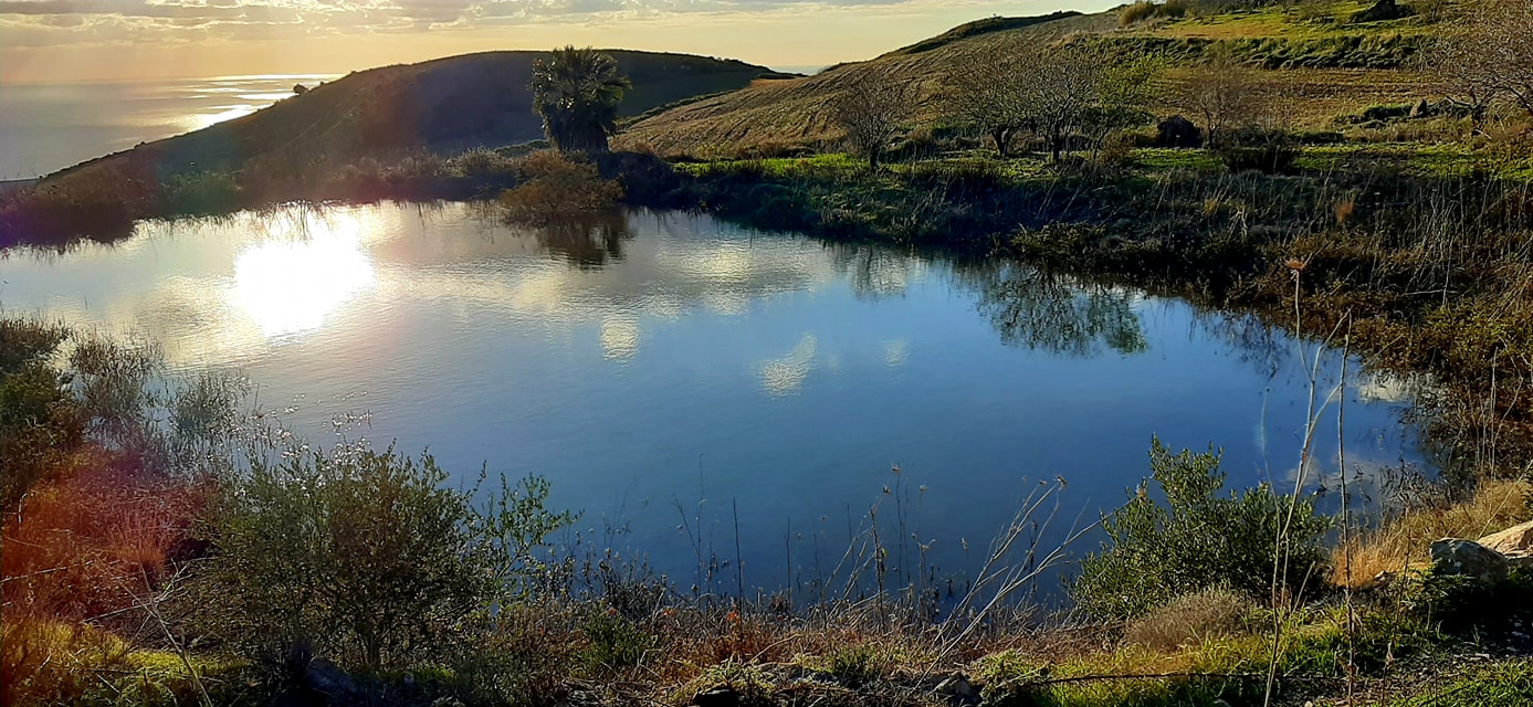 ΚΥΠΡΟΣ: Η άγνωστη και καλά κρυμμένη λίμνη του Πωμού –ΦΩΤΟΓΡΑΦΙΕΣ