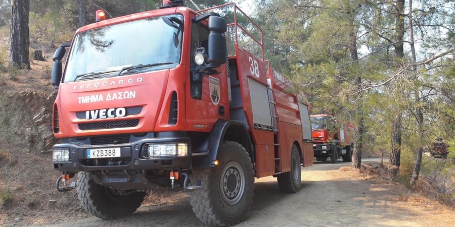 Υπό πλήρη έλεγχο δασική πυρκαγιά σε περιοχή της Κοινότητας Νικητάρι