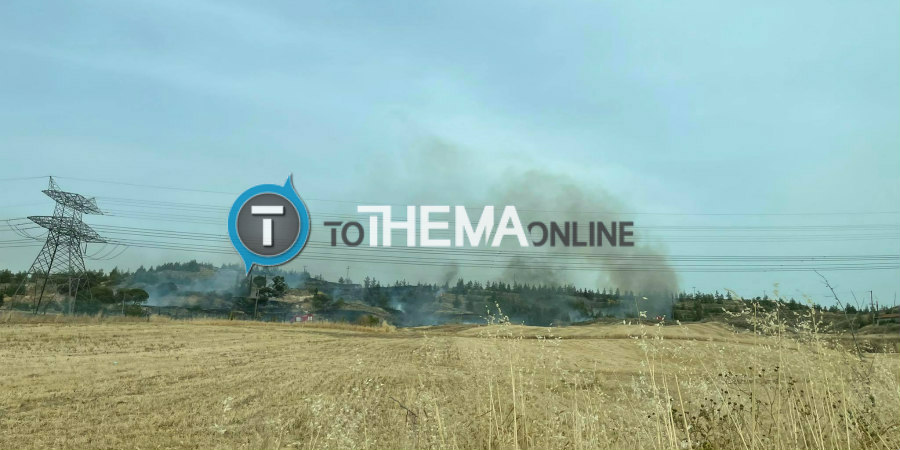 ΛΕΥΚΩΣΙΑ: Φωτιά κοντά στο Τσέρι κινητοποίησε την Πυροσβεστική – ΦΩΤΟΓΡΑΦΙΕΣ
