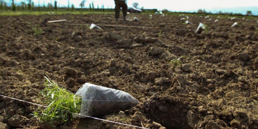 ΚΥΠΡΟΣ: Καταβολή γεωργικών αποζημιώσεων €2,6 εκ. ενέκρινε Υπουργικό