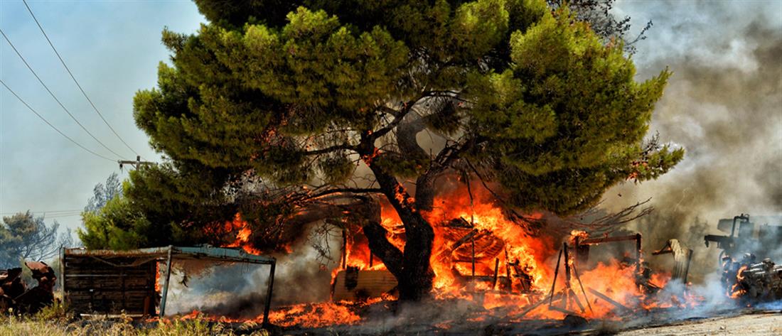 ΛΕΜΕΣΟΣ: Μαίνεται φωτιά σε δύσβατη περιοχή – Επιχειρούν εναέριες και επίγειες δυνάμεις