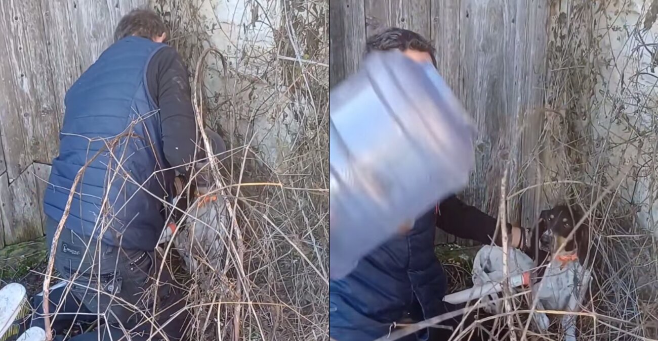 Αίσια κατάληξη: Εθελοντής έσωσε το σκυλί που κυκλοφορούσε με πλαστικό μπουκάλι στο κεφάλι – Δείτε βίντεο