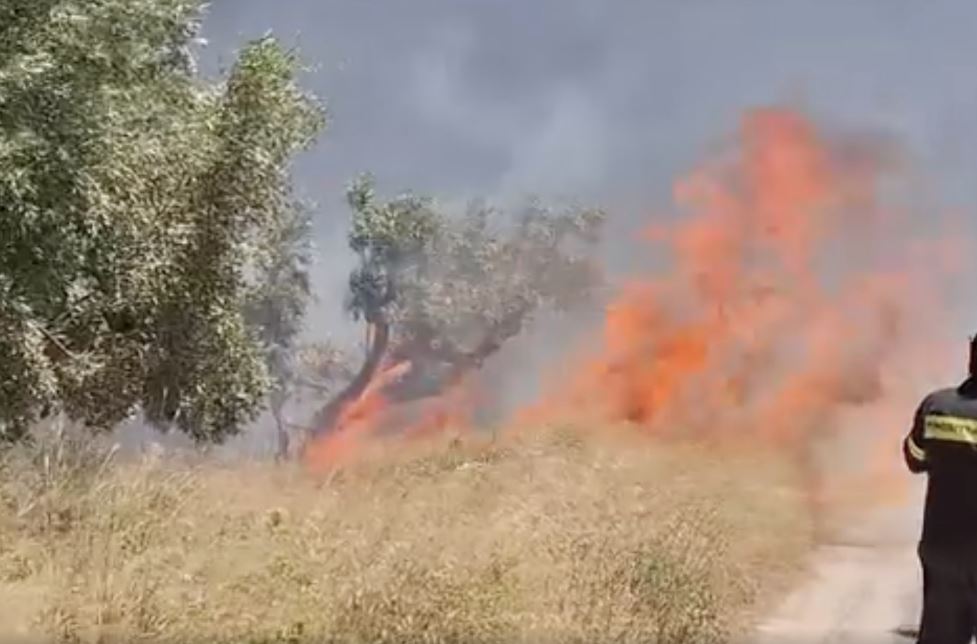 Ελλάδα: Απανωτά μηνύματα από το 112 για την φωτιά στο Κορωπί - Καίγονται σπίτια - Βίντεο