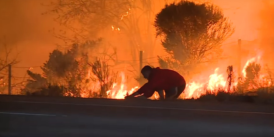 Τη στιγμή που χιλιάδες κάτοικοι έτρεχαν να σωθούν μπήκε στις φλόγες για να σώσει ένα κουνέλι - VIDEO