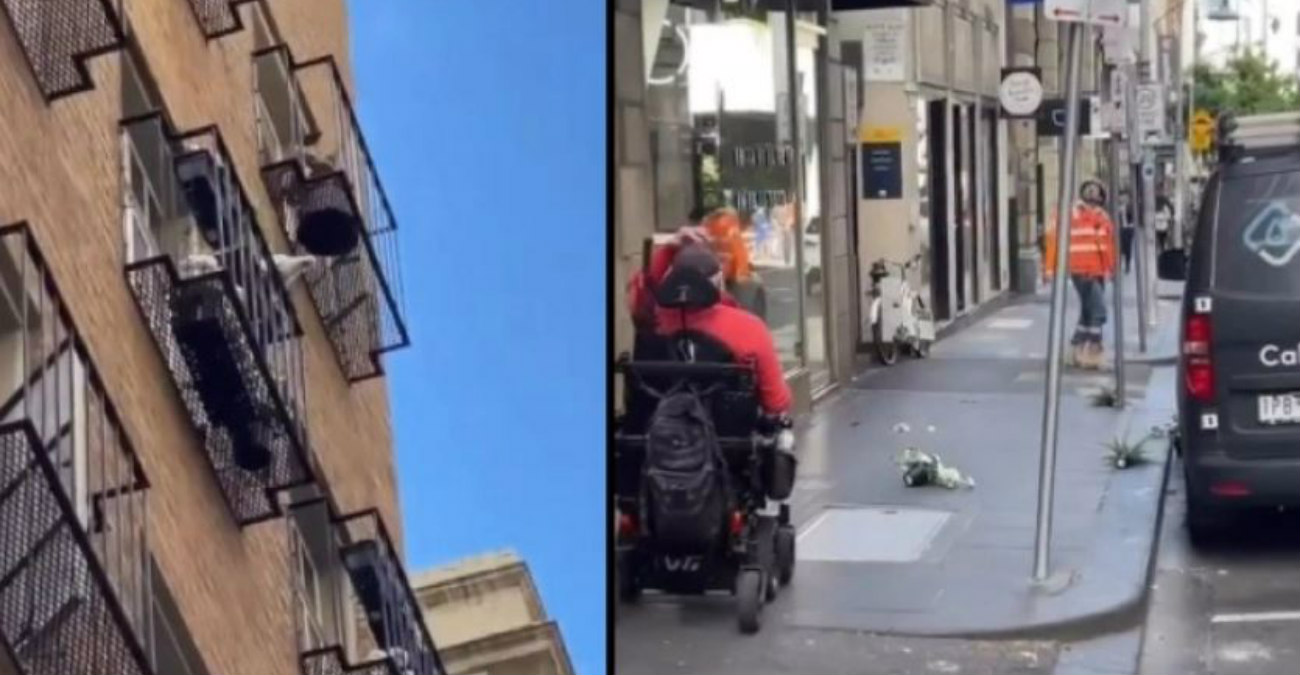 Παπαγάλος σκορπά… τρόμο σε γειτονιά της Αυστραλίας - Πετάει γλάστρες από το μπαλκόνι στους περαστικούς - Δείτε βίντεο