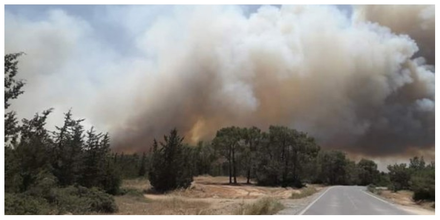 Υπό πλήρη έλεγχο τέθηκε η δασική πυρκαγιά στην κοινότητα Μαλούντας