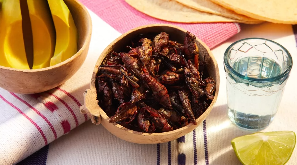 Πρωτεΐνη από έντομα ή κρέας; Οι ειδικοί αναλύουν τη νέα τάση